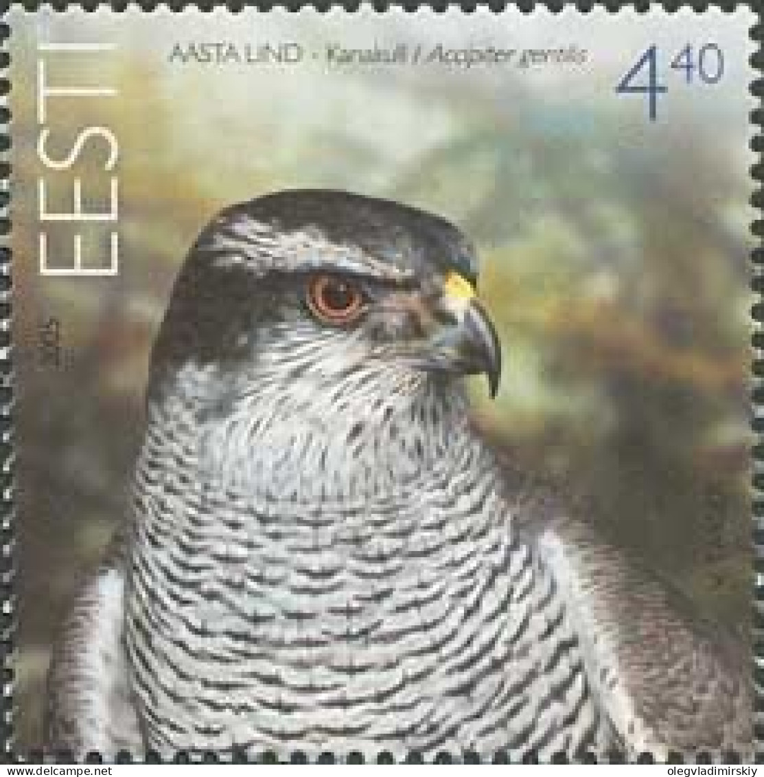 Estonia Estland Estonie 2005 Bird Of The Year Hawk Stamp MNH - Estonie