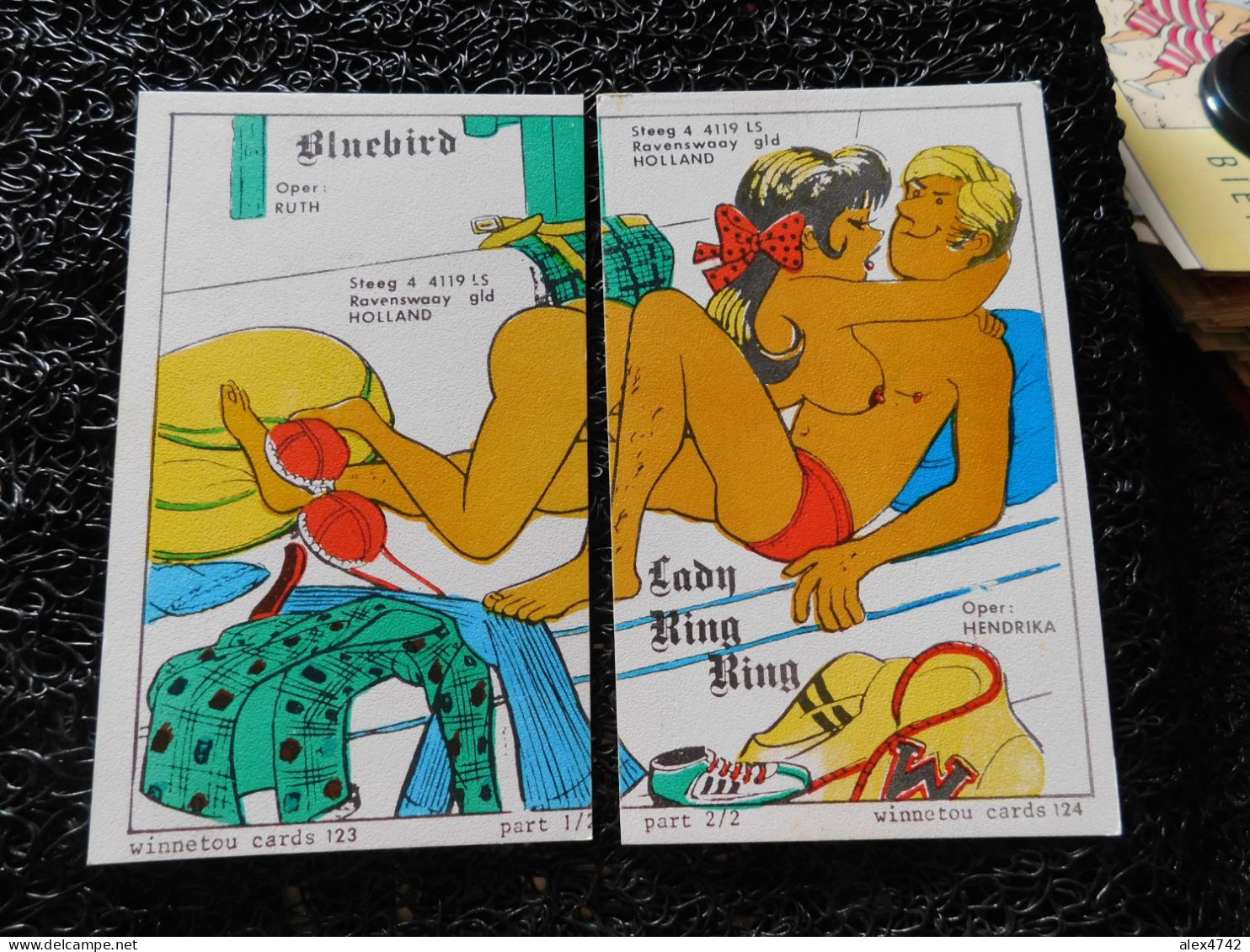 QSL - CB, 2 Cartes, BLUEBIRD & LADY RING RING, Oper. Ruth & Hendrika, Holland  (F20) - CB-Funk