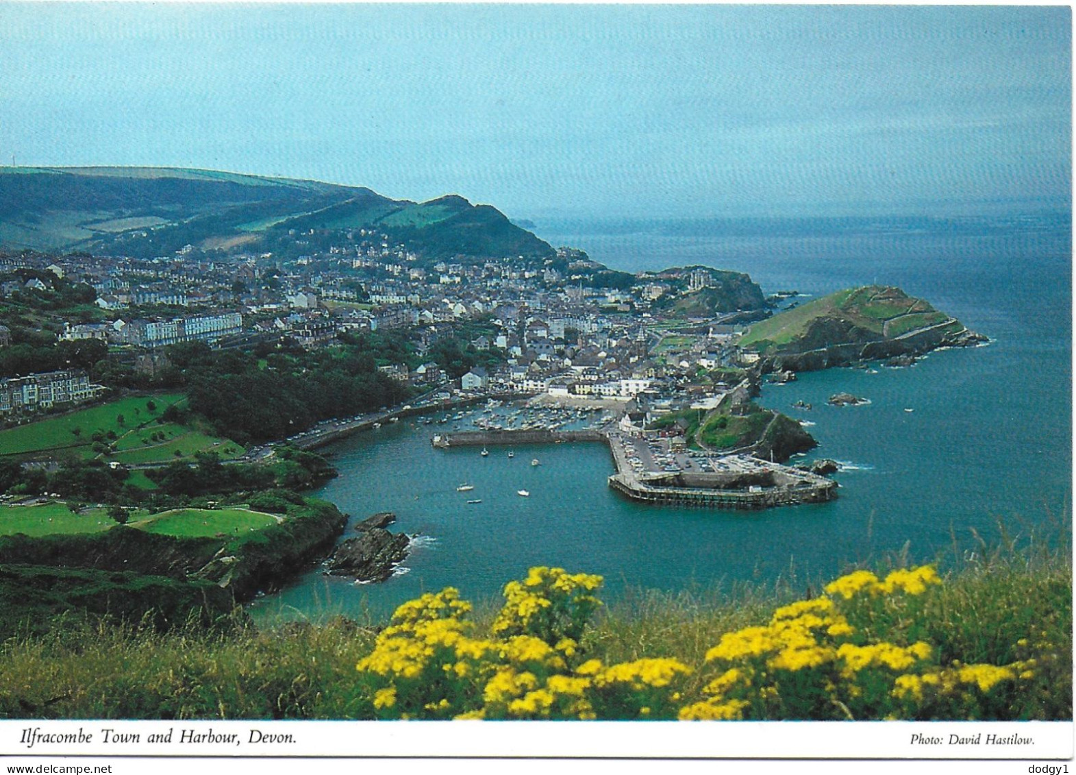 ILFRACOMBE TOWN AND HARBOUR, DEVON, ENGLAND. UNUSED POSTCARD   Zq7 - Ilfracombe