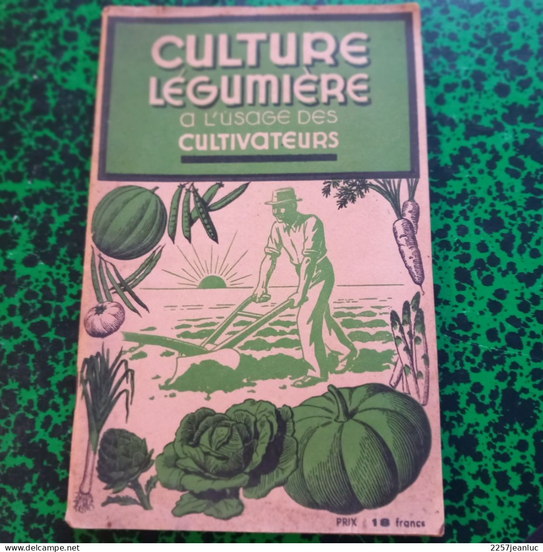 Culture  Légume à L'Usage Des Cultivateurs  Editions Gutenberg à Lyon De 1943 - Michelin (guias)