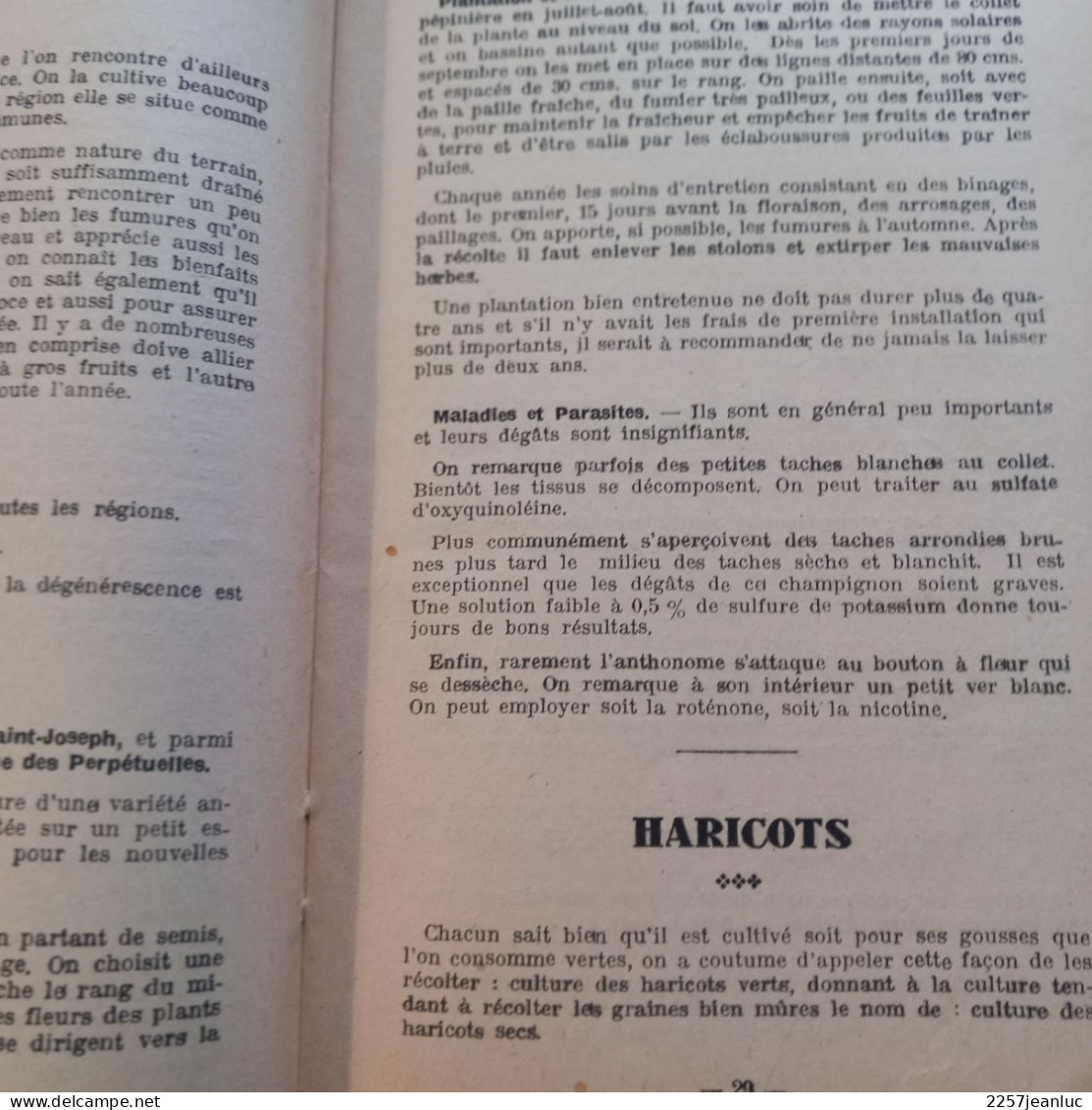 Culture  Légume à L'Usage Des Cultivateurs  Editions Gutenberg à Lyon De 1943 - Michelin (guides)