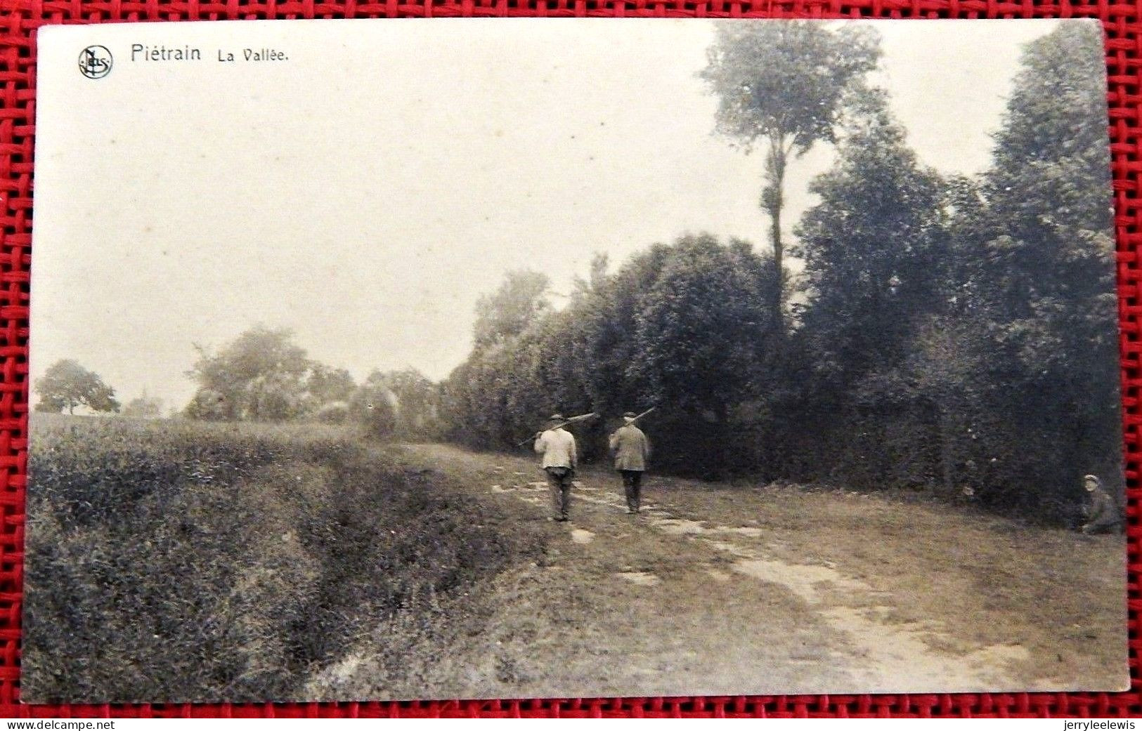 PIETRAIN  -  La Vallée - Geldenaken