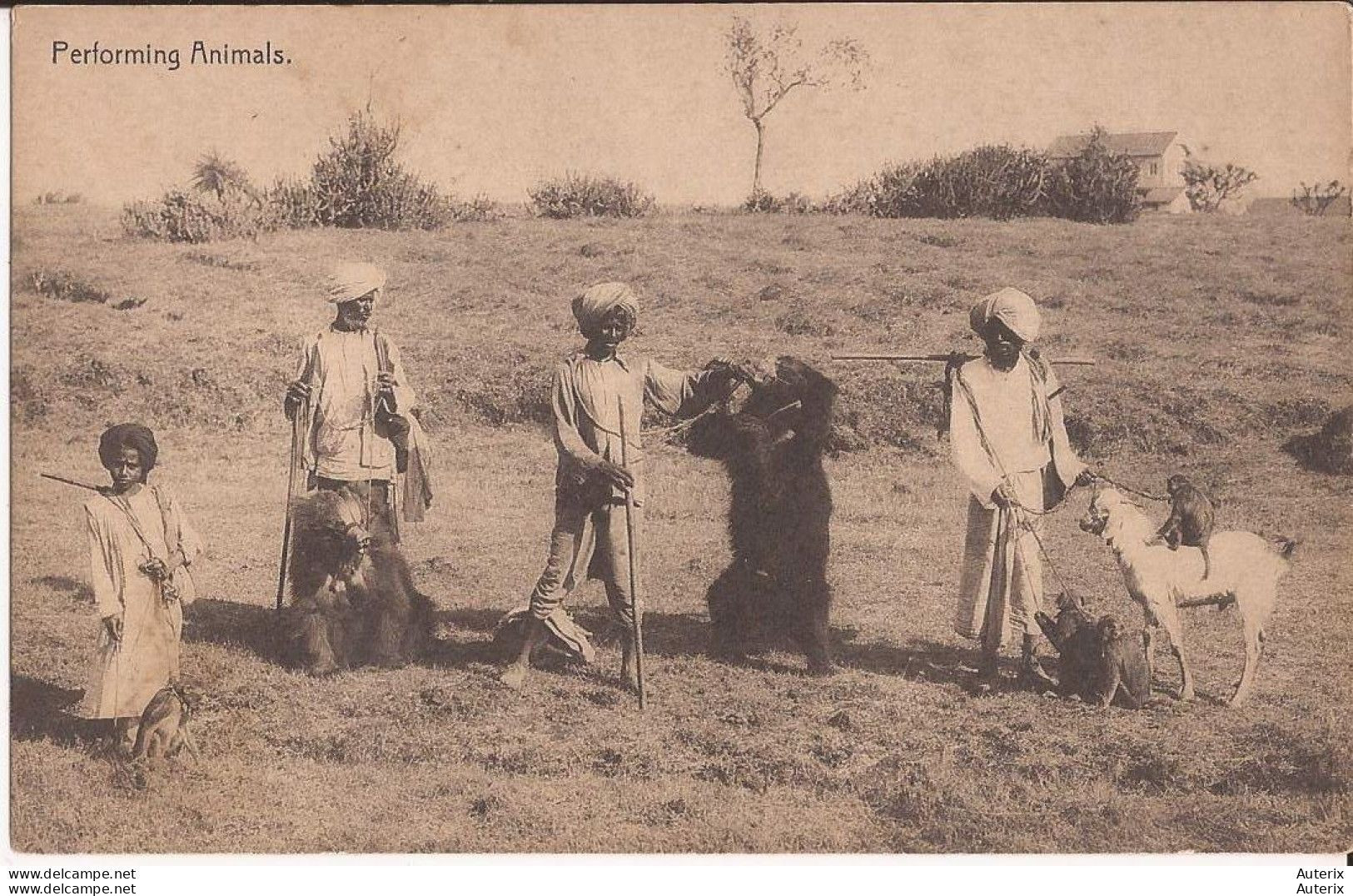 Inde - Performing Animals Goat Bear Monkey - India