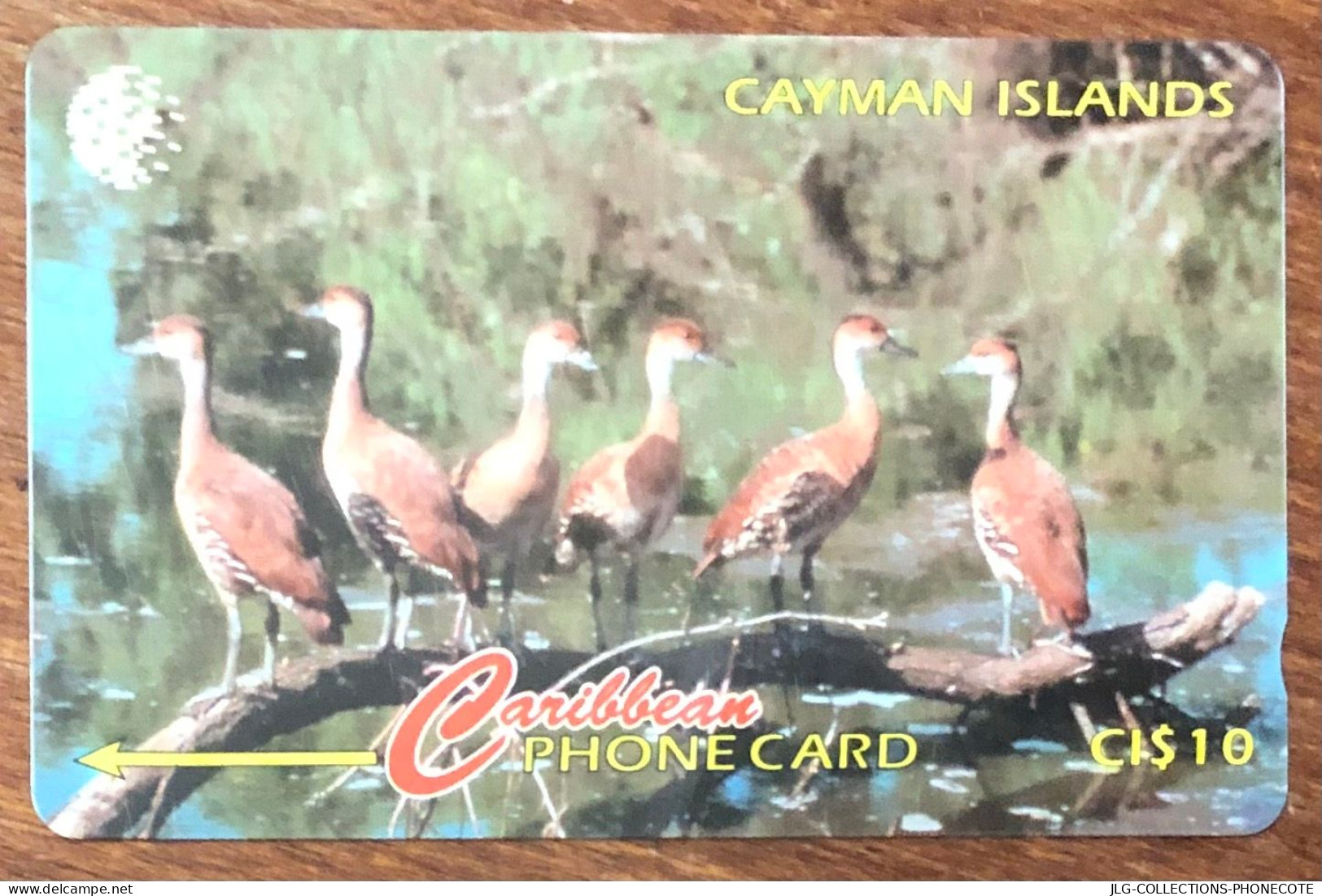 CAYMAN ISLANDS OISEAUX CI$ 10 CARIBBEAN CABLE & WIRELESS SCHEDA TELECARTE TELEFONKARTE PHONECARD CALLING CARD - Cayman Islands