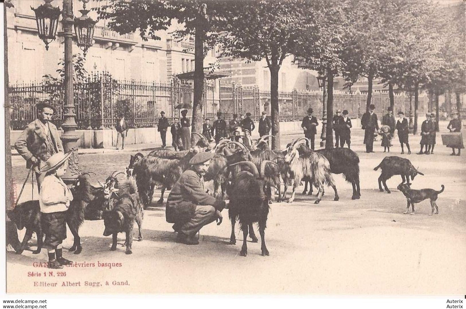 Belgique - Gand - Gent - Chevriers Basques - Chevrier Basque Place Laurent, Hotel Provincial Goat - Gent