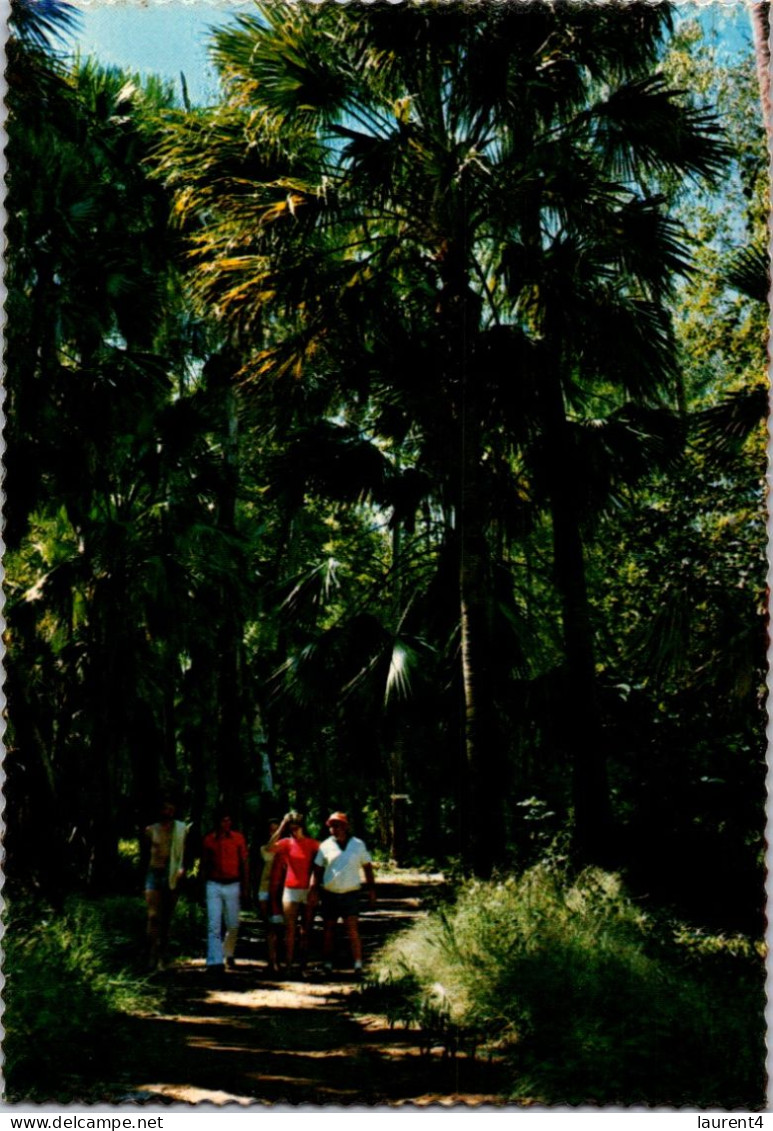 25-11-2023 (3 V 21) Australia - NT - Mataranka Homestead - Ohne Zuordnung