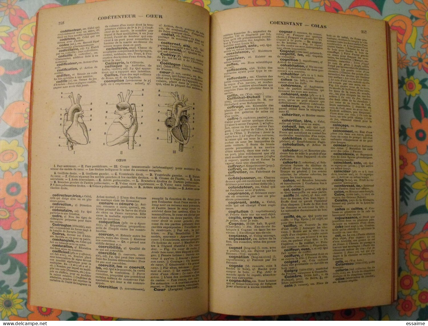 Petit Larive Et Fleury. Dictionnaire Encyclopédique Illustré. G. Chamerot, Paris 1901 - Dictionnaires