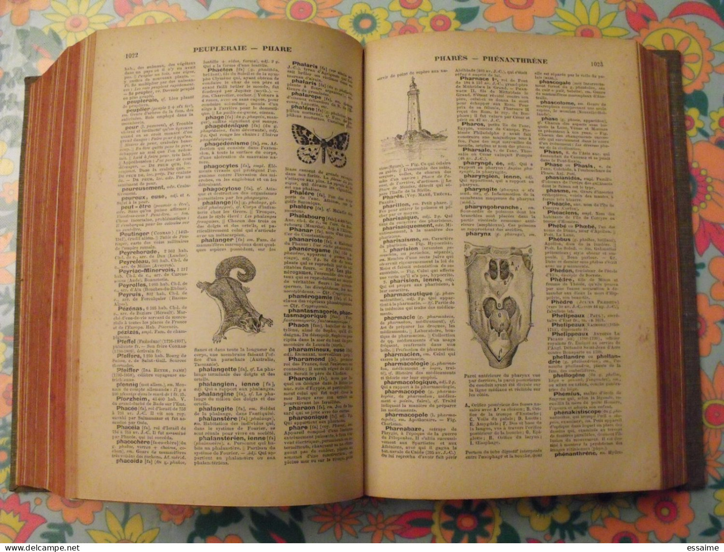 Petit Larive Et Fleury. Dictionnaire Encyclopédique Illustré. G. Chamerot, Paris 1901 - Dictionnaires