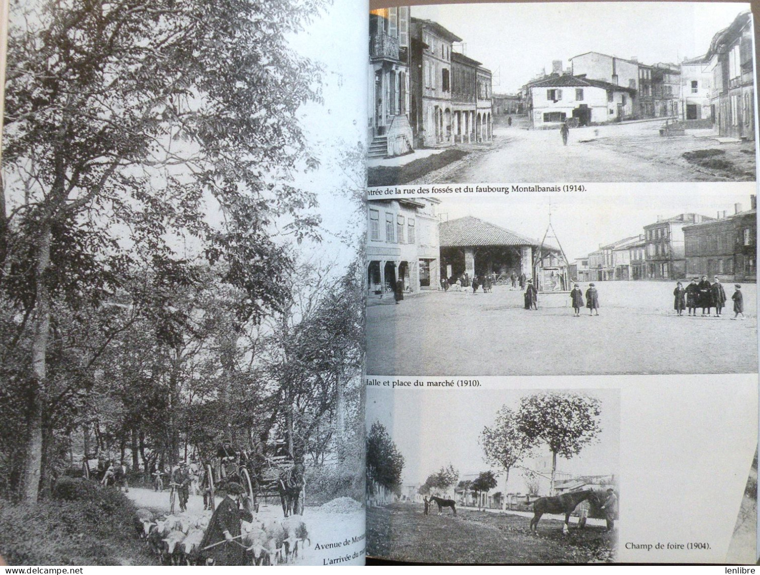 HISTOIRE De FRONTON Et Du FRONTONNAIS. A. Escudier. Imp. Sud-Toulouse. 1992. - Midi-Pyrénées