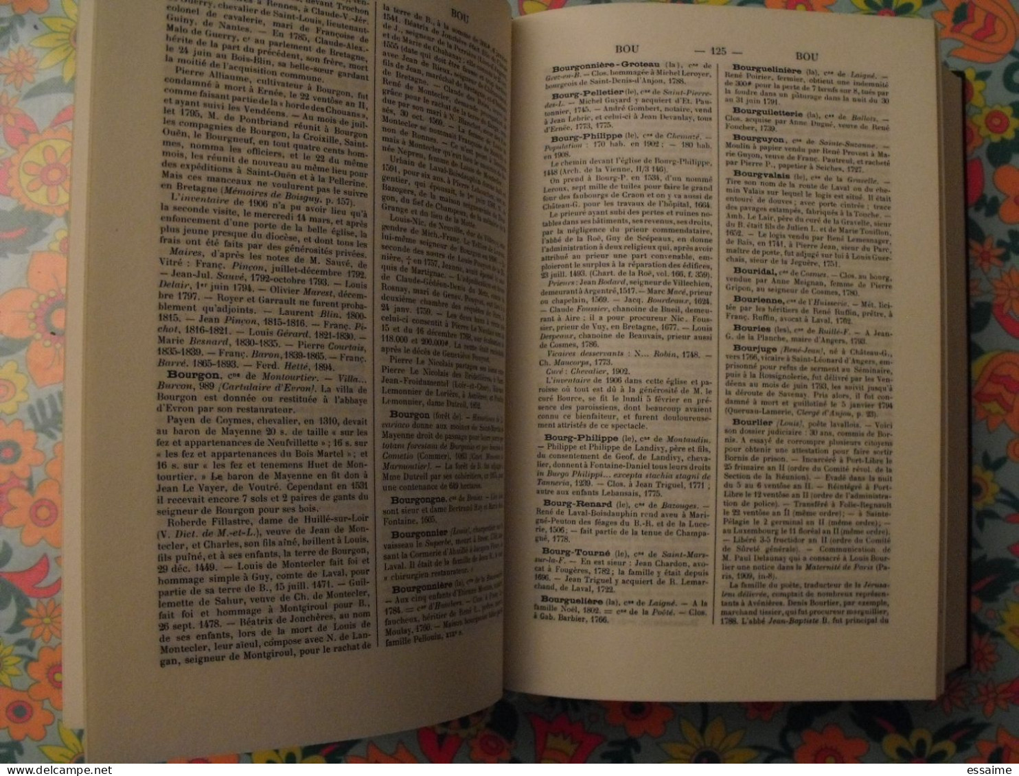 Dictionnaire De La Mayenne. Rare Tome 4 (supplément). Abbés Angot & Gaugain. Joseph Floch 1977 - Dictionnaires