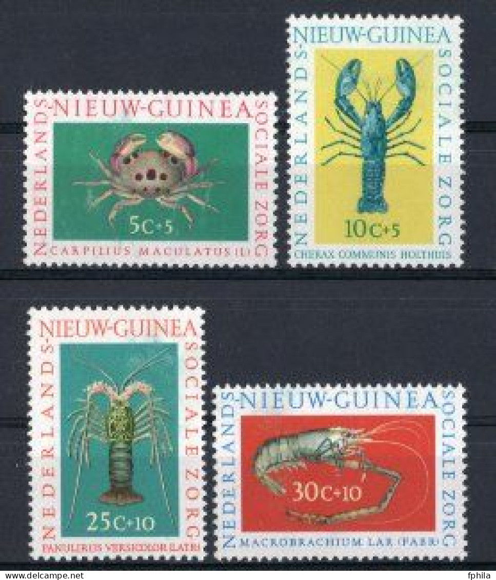 1962 NETHERLANDS NEW GUINEA SOCIAL WELFARE MARINE LIFE MICHEL: 78-81 MNH ** - Nueva Guinea Holandesa