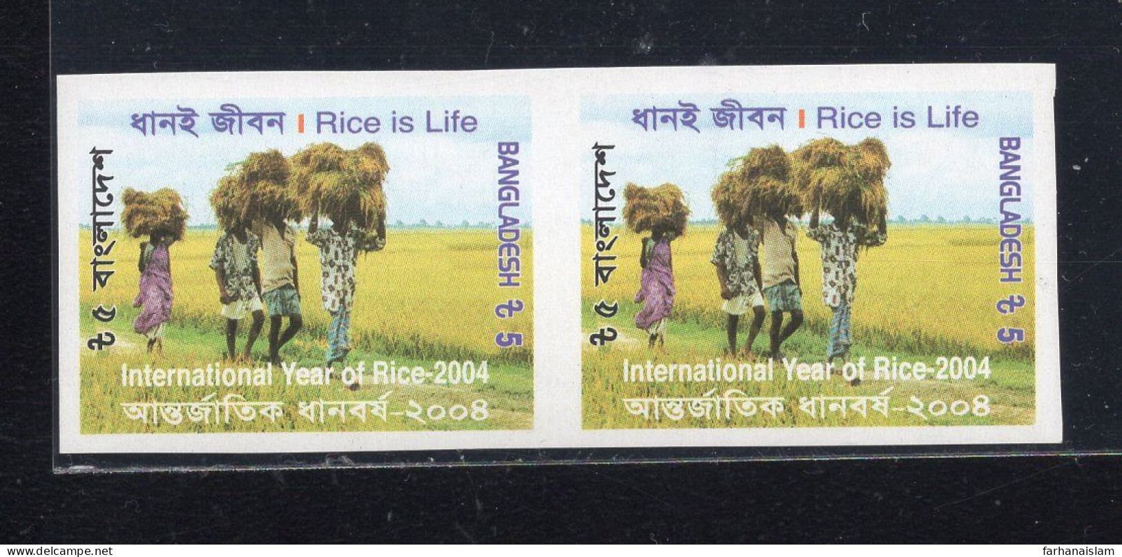 Bangladesh 2004 International Year Of Rice IMPERF Pair Error Peddy Field Farmer Agriculture - Bangladesch