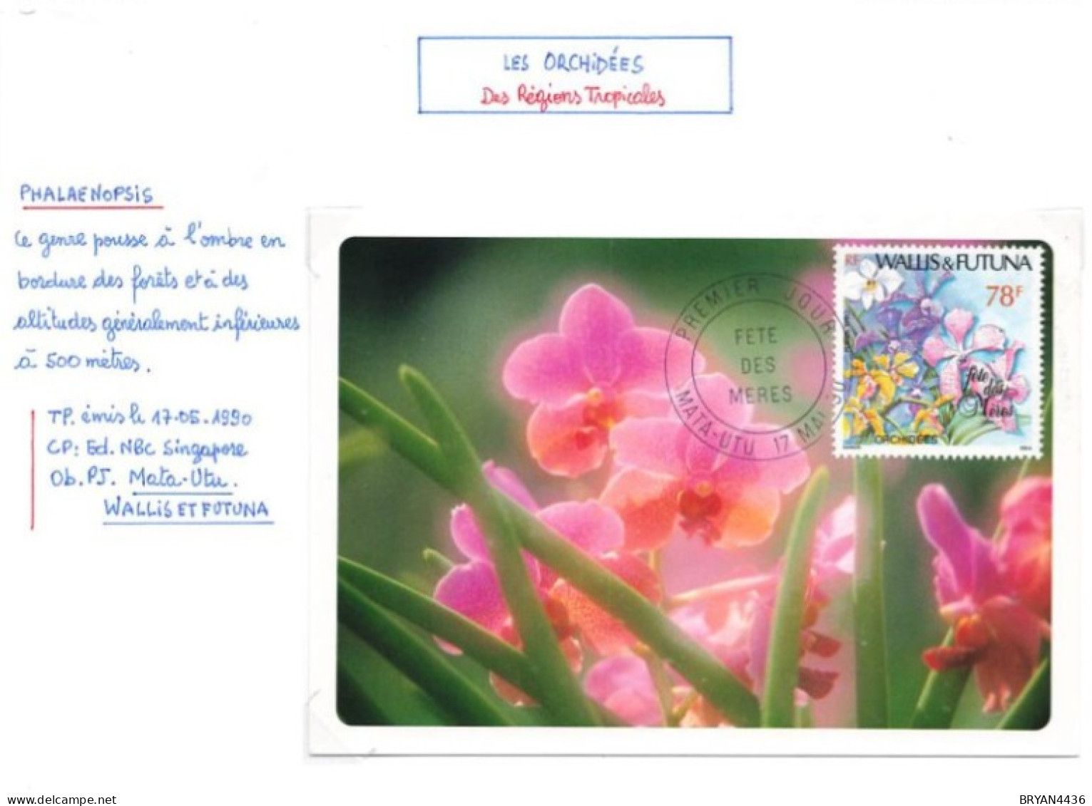 WALLIS & FUTUNA - Les ORCHIDES - CARTE MAXIMUM - Thème; FLEURS - MATA-HUTU - 1990 - TRES BON ETAT - Cartoline Maximum