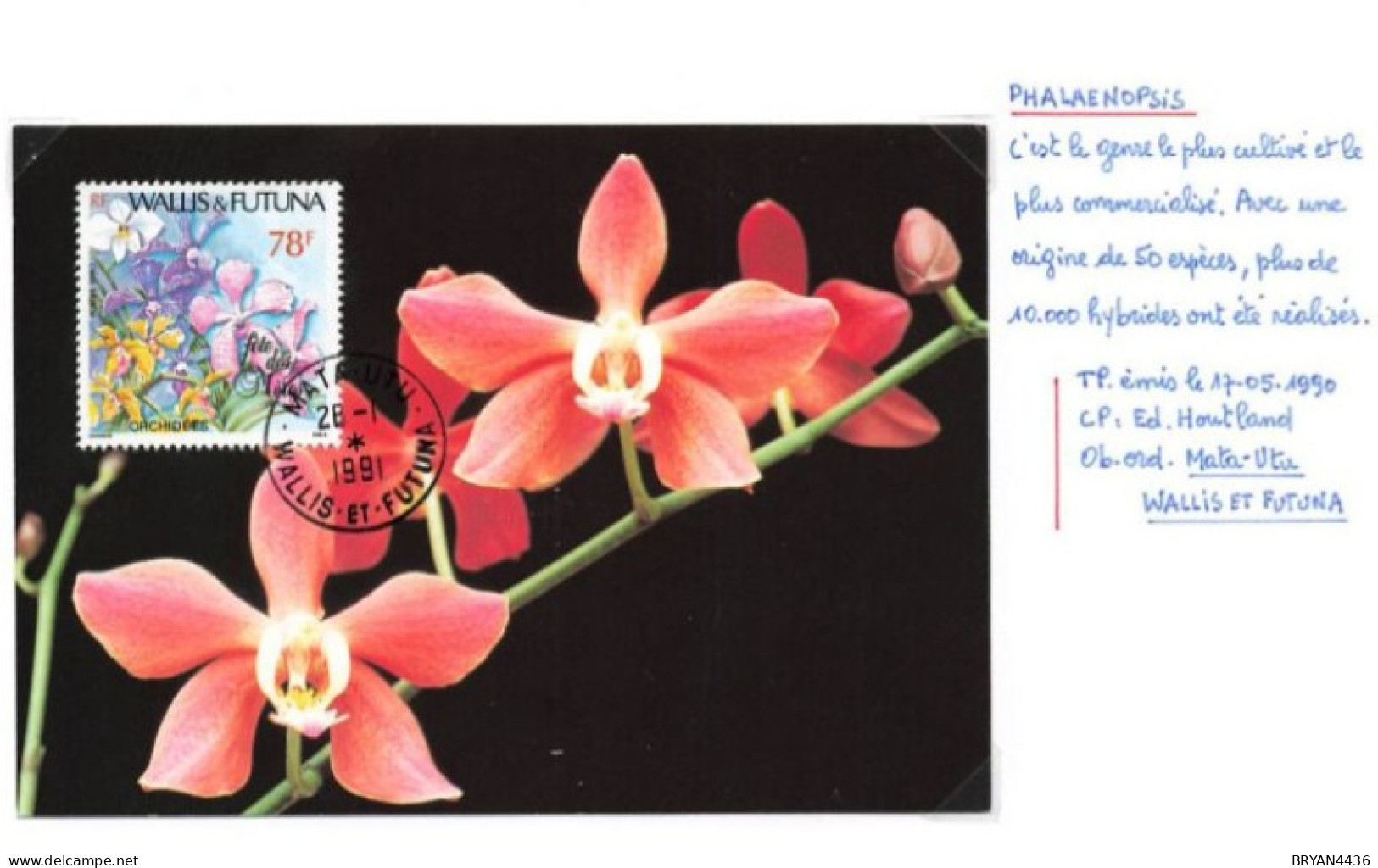 WALLIS & FUTUNA - Les ORCHIDES - CARTE MAXIMUM - Thème; FLEURS - MATA-HUTU - 1990 - TRES BON ETAT - Cartes-maximum