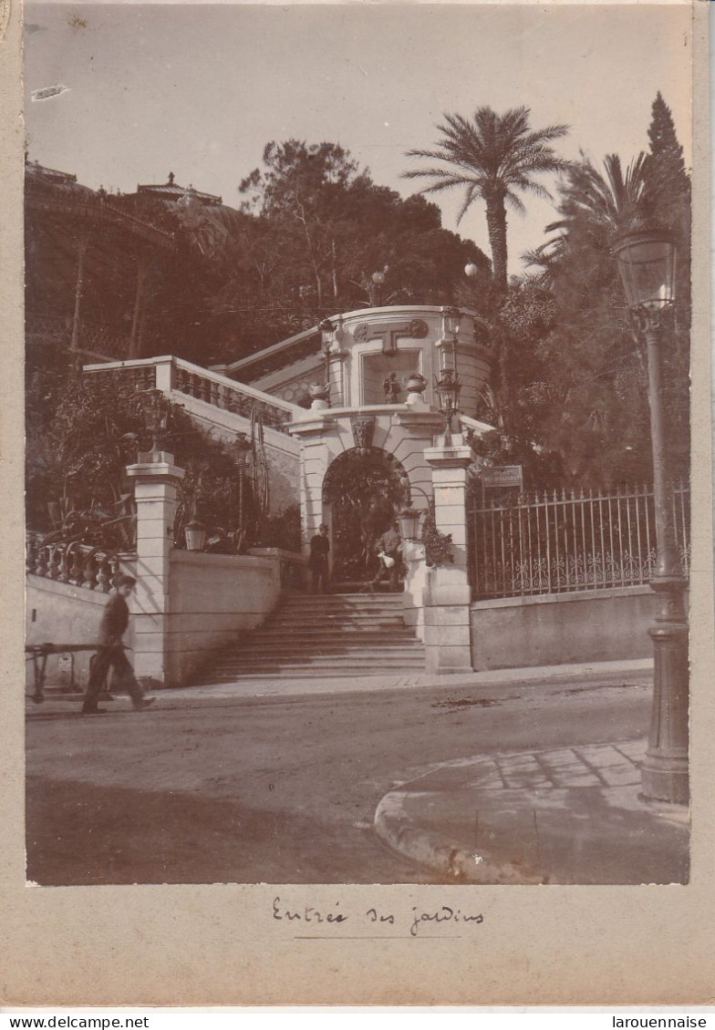 MONACO - Entrée Des Jardins (photos Collées Recto Verso) - Jardin Exotique