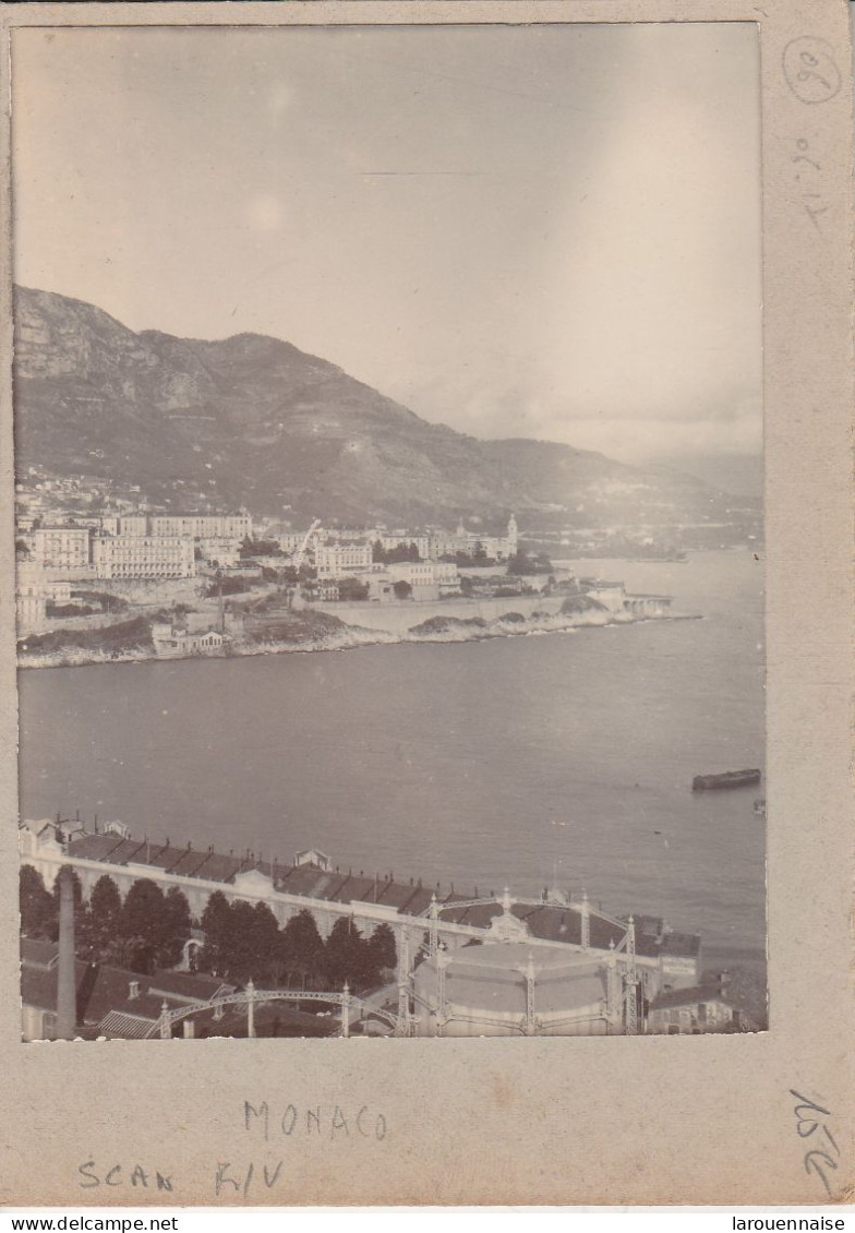 MONACO - Entrée Des Jardins (photos Collées Recto Verso) - Jardin Exotique