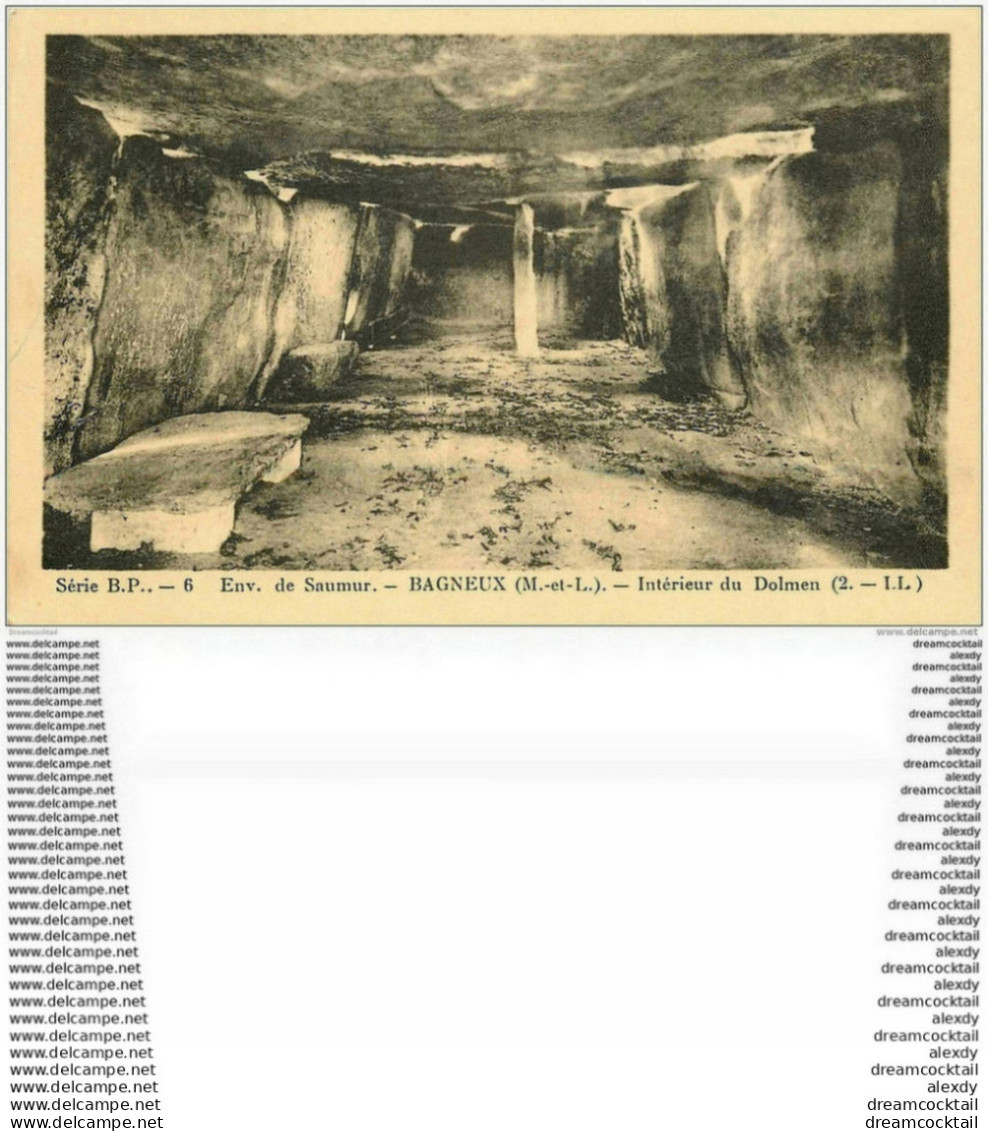 Dolmens Et Menhirs. BAGNEUX. L'Intérieur - Dolmen & Menhirs