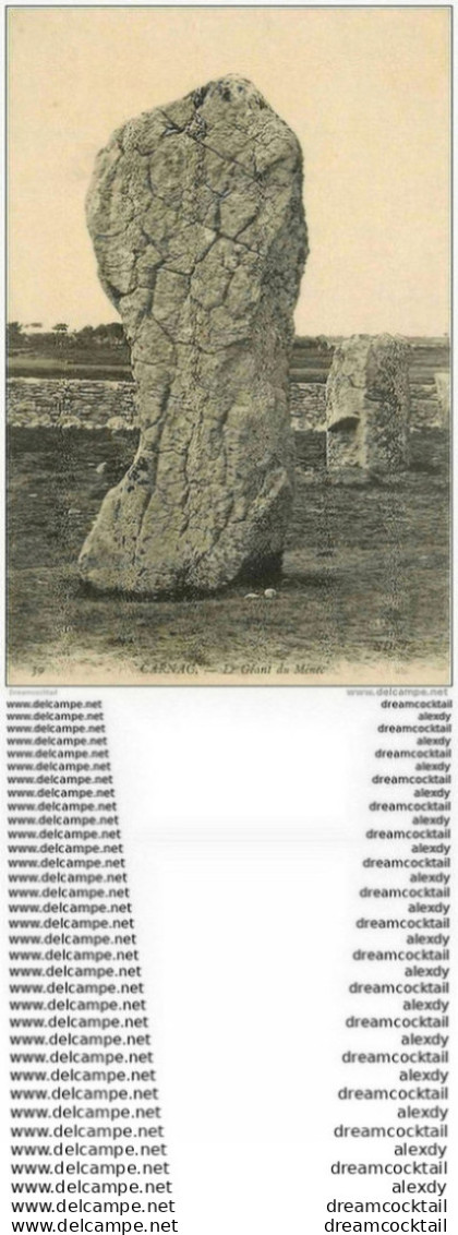 Dolmens Et Menhirs. CARNAC. Le Géant Du Ménec - Dolmen & Menhire