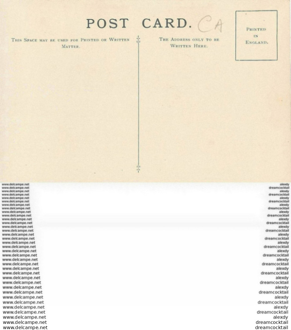 Carte Postal Fiche. British Trees Museum. Plantes Et Fleurs. Hawthorn Crataegus Oxyacantha - Arbres