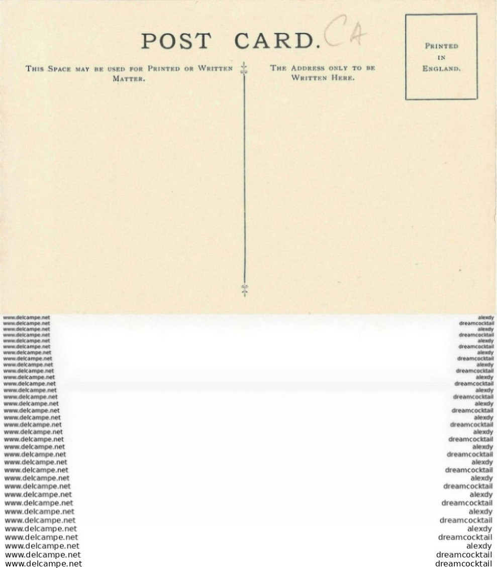 Carte Postal Fiche. British Trees Museum. Plantes Et Arbres. Hawthorn Crataegus Monogyna 222 - Arbres