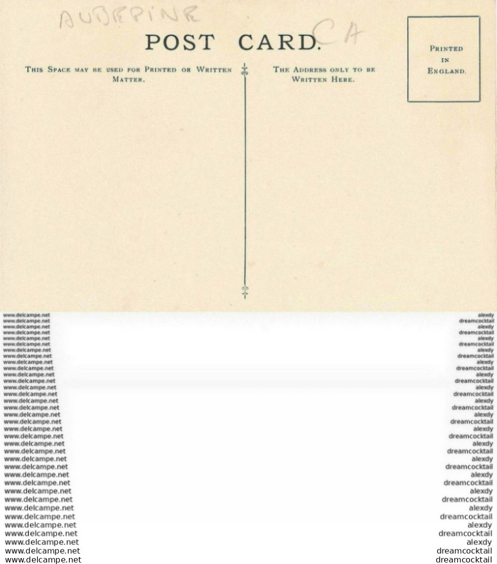 Carte Postal Fiche. British Trees Museum. Plantes Et Arbres. Hawthorn Crataegus Monogyna 223 - Arbres