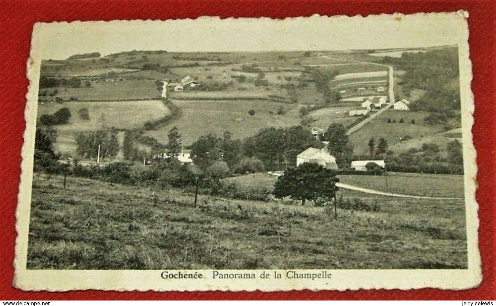 GOCHENEE  -  DOISCHE  -  Panorama De La Champelle - Doische