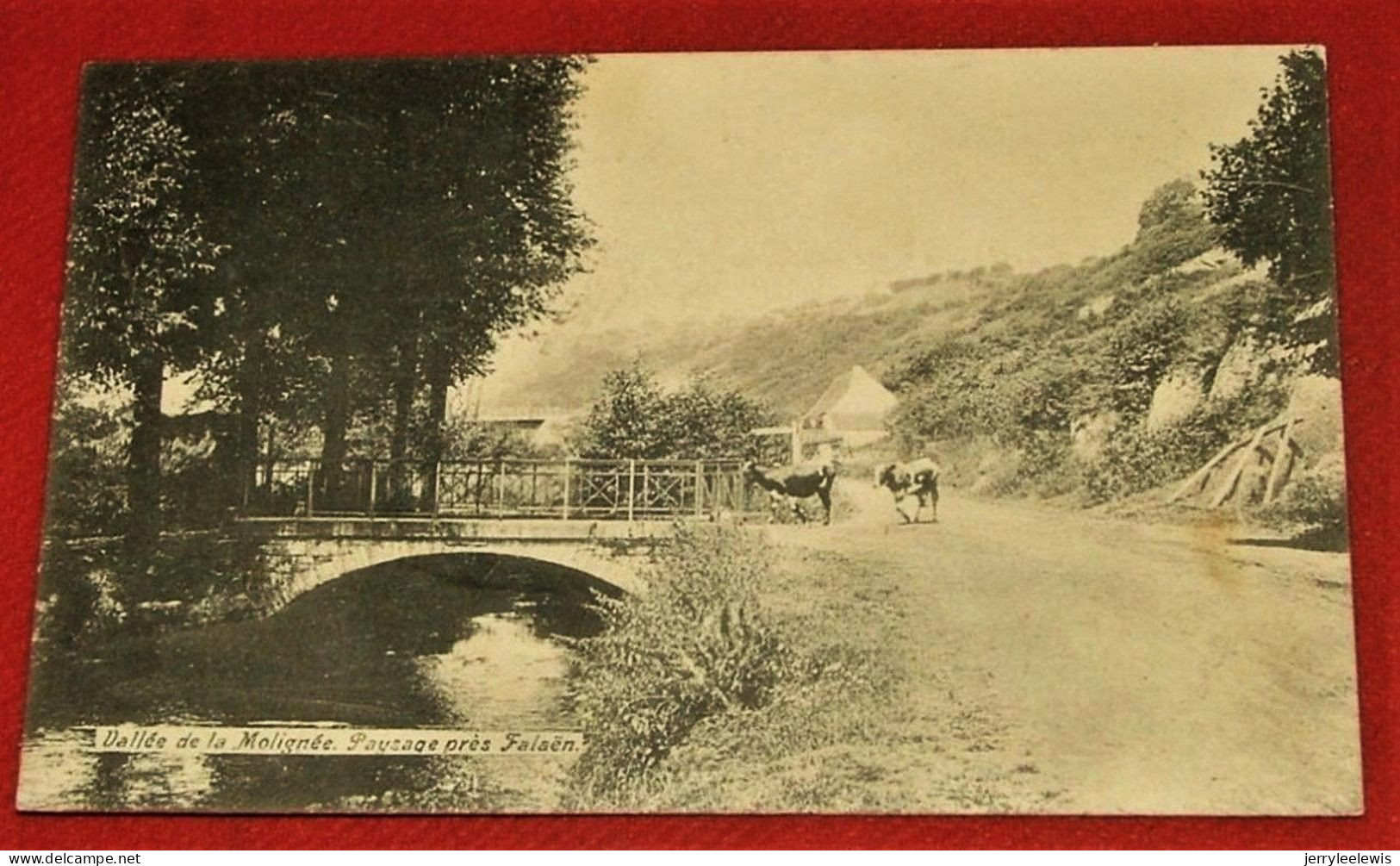 FALAËN  -  Vallée De La Molignée  -  Paysage Près Falaën  -  1906 - Onhaye