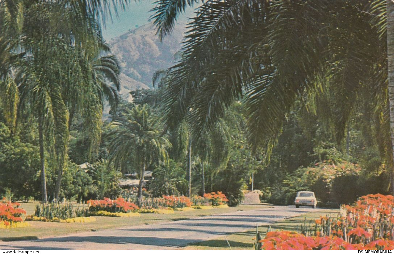 Jamaica Hope - Royal Botanic Garden Old Postcard - Jamaïque