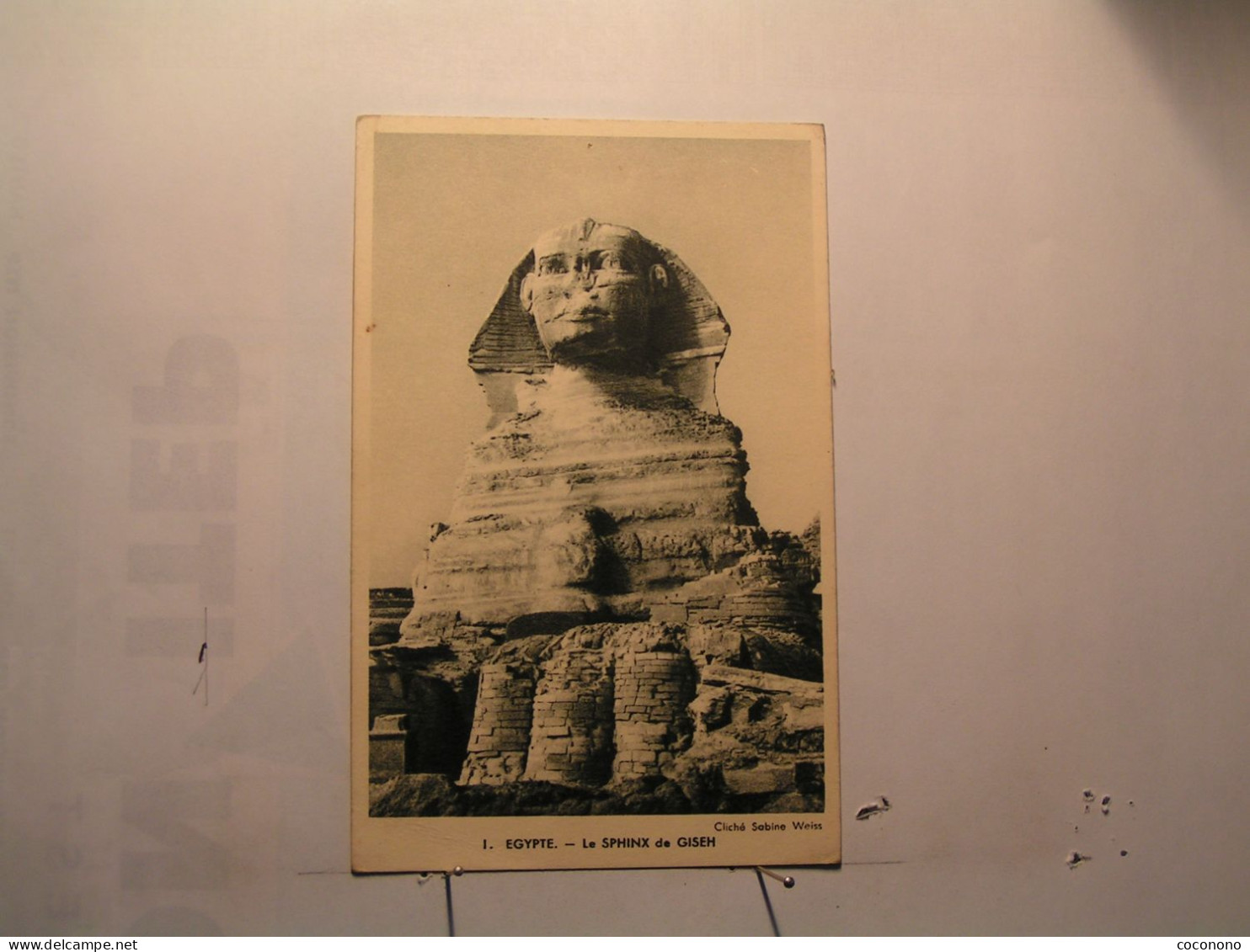 Le Sphinx De Giseh - Sphinx