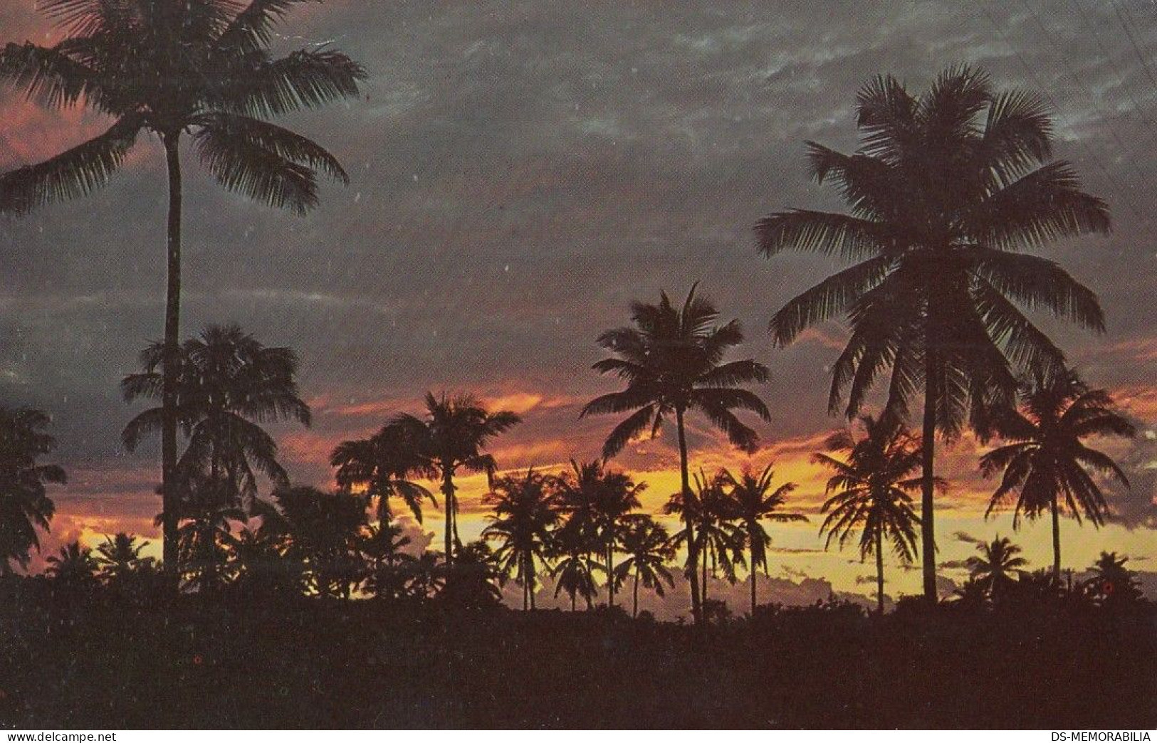 Jamaica Beautiful Sunset Old Postcard - Jamaïque