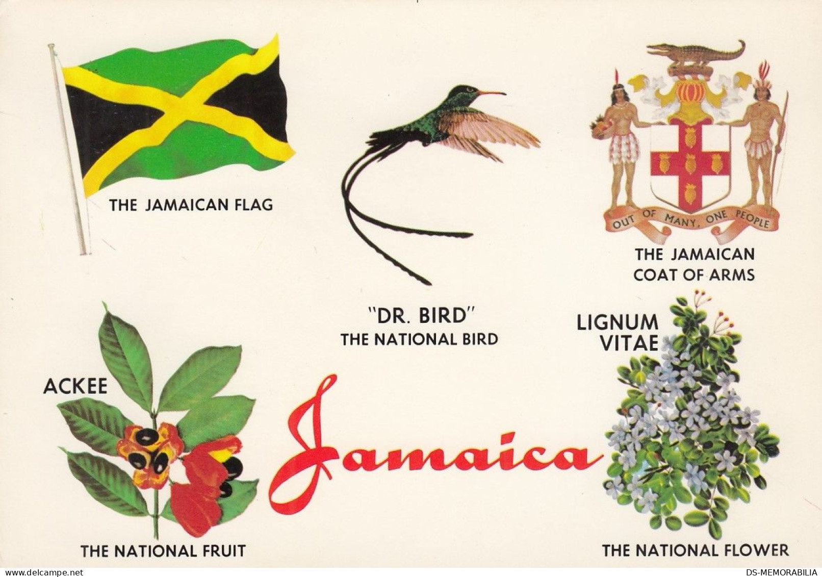 Jamaica Flag Coat Of Arms National Bird Fruit Flower Old Postcard - Jamaïque