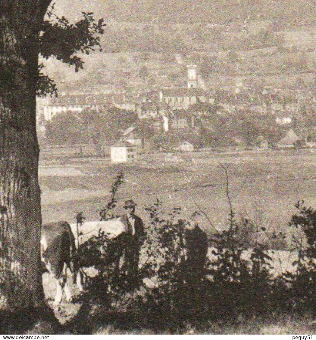 Jura. Delémont. Panorama Avec L'église Saint-Marcel. 1908 - Delémont