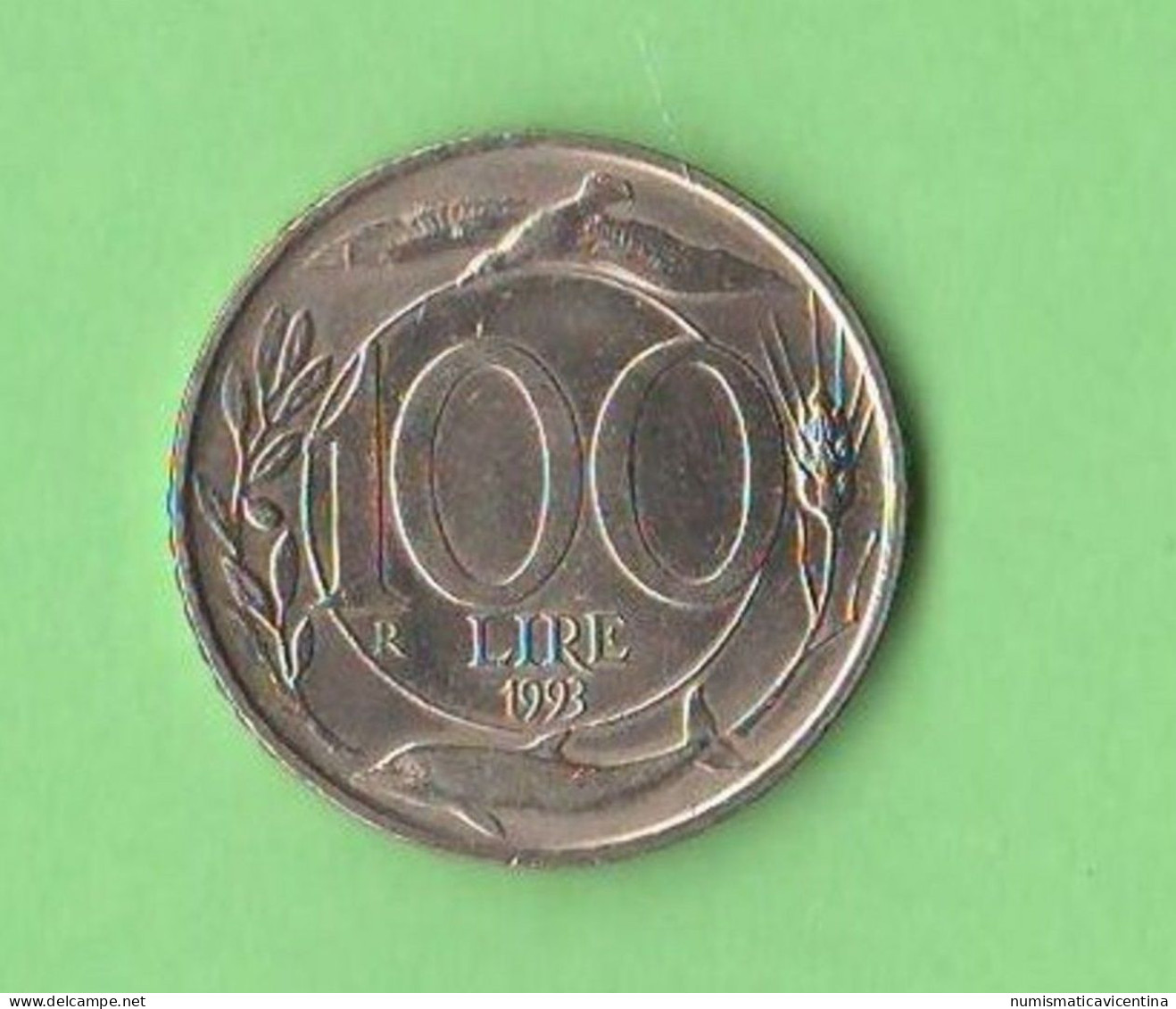 Italia Repubblica 100 Lire 1993 VARIANTE Testa Piccola / Scritta Lontano 2 Mm Dal Bordo - Gedenkmünzen