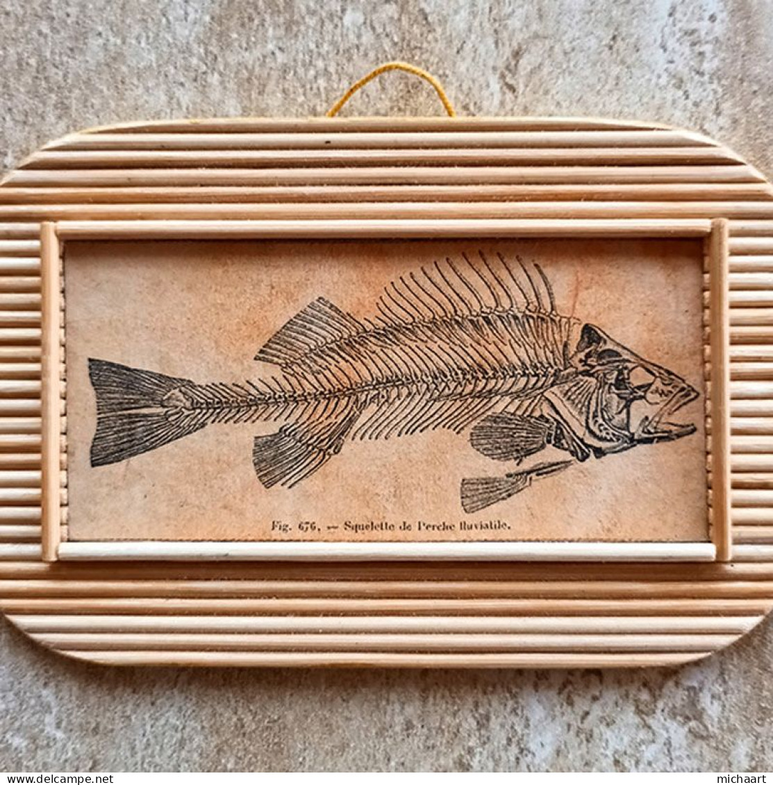 Fish Skeleton Decoration Art Handmade 235x87mm Bamboo Sticks 03061 - Art Nouveau / Art Deco