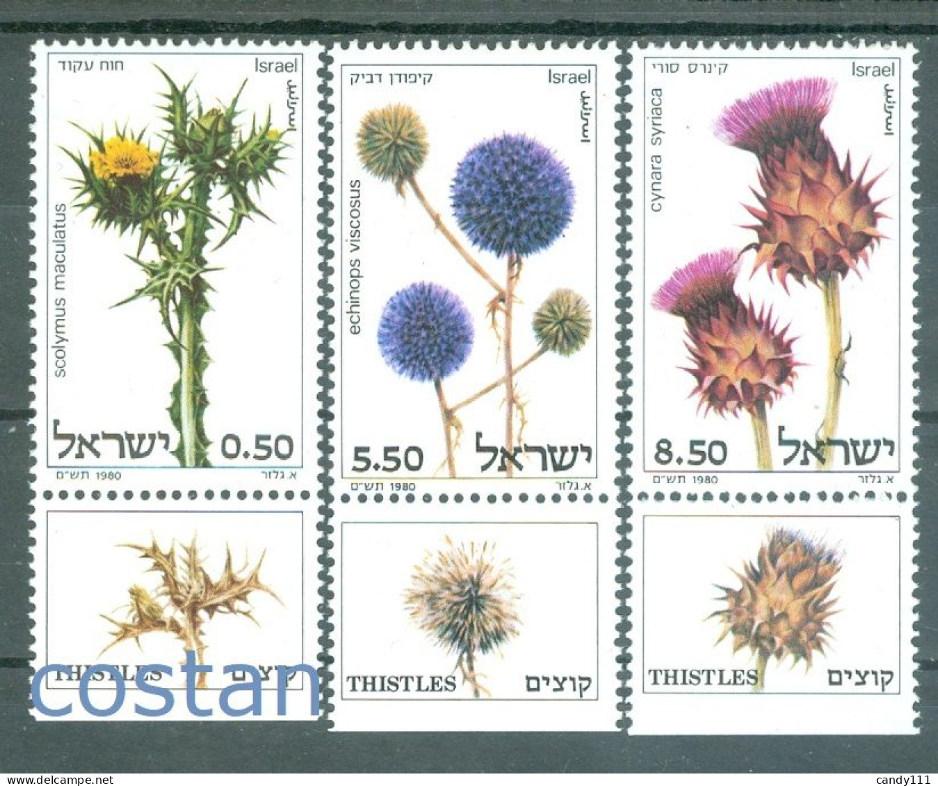 1980  Wild Artichoke,Echinops,spotted Golden Thistle,medicinal,Israel,814,MNH - Medicinal Plants