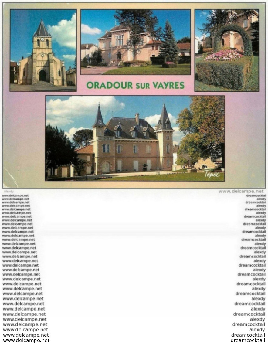 Photo Cpsm Cpm 87 ORADOUR SUR VAYRES 1995 - Oradour Sur Vayres