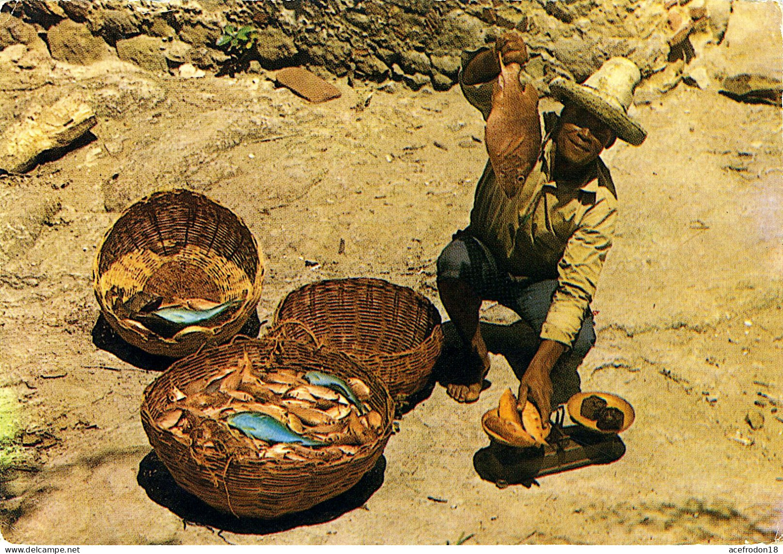 Martinique - La Trinité - Pêcheur De La Caravelle - La Trinite