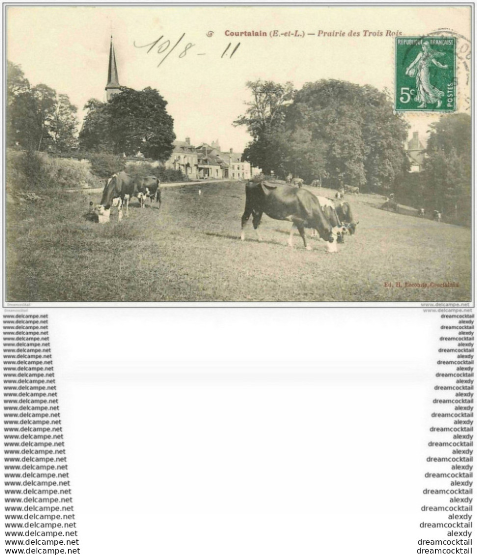 28 COURTALAIN. Vaches Prairie Des Trois Rois 1911 - Courtalain