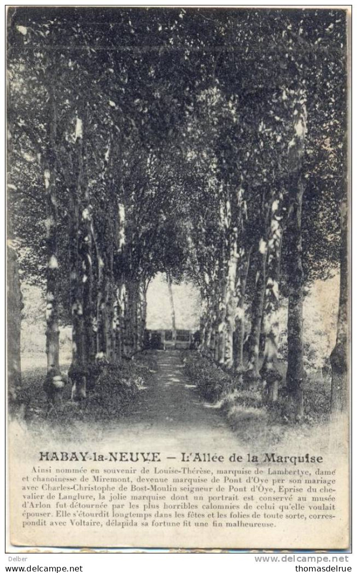 Cc375 : HABAY-LA-NEUVE - L'Allée De La Marquise - Habay