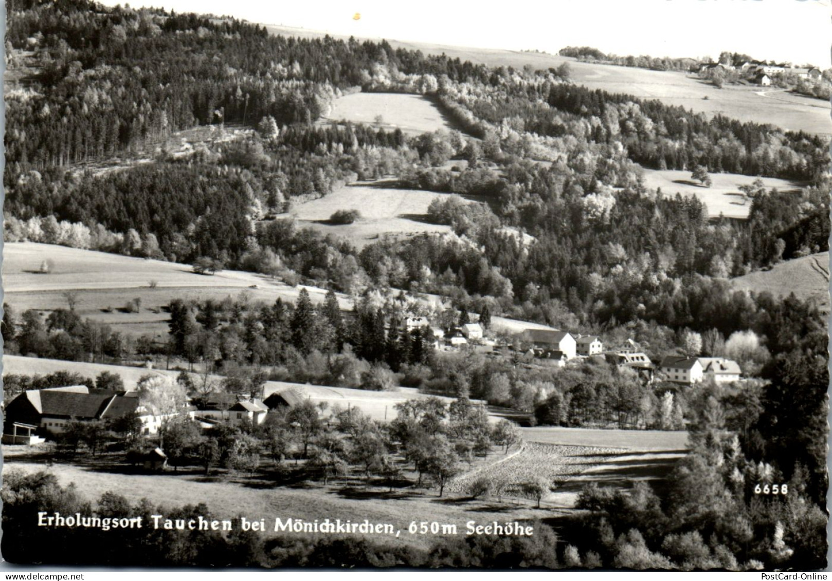 47042 - Niederösterreich - Tauchen , Bei Mönichkirchen , Wechsel , Panorama - Gelaufen  - Neunkirchen