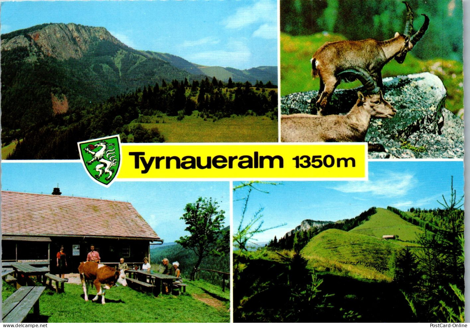 46755 - Steiermark - Fladnitz A. D. Teichalm , Gasthaus Tyrnaueralm , Rote Wand , Steinbock - Gelaufen 1982 - Weiz