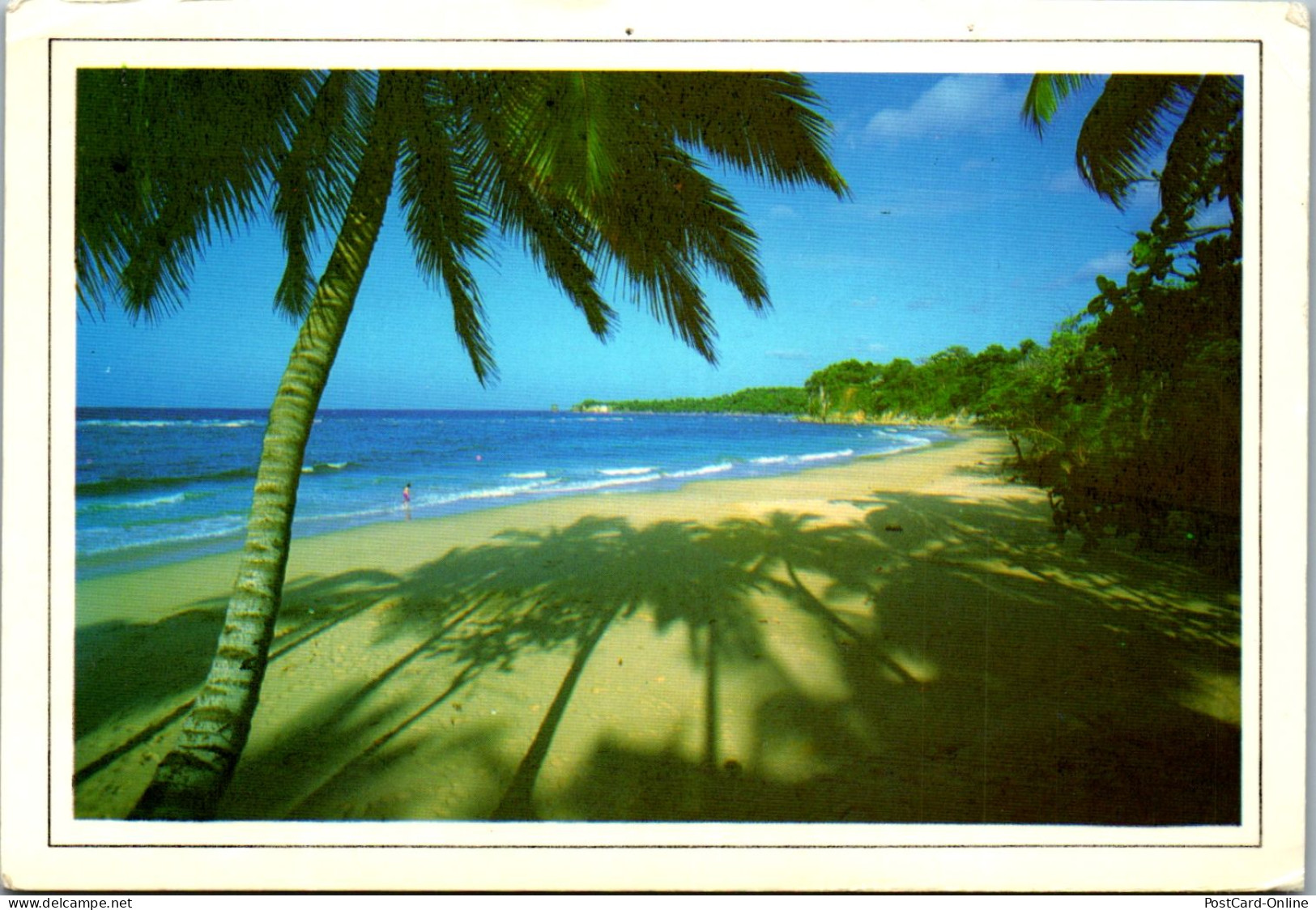 46648 - Dominikanische Republik - Costa Norte , Playas , Strand , Palme - Gelaufen  - Dominican Republic