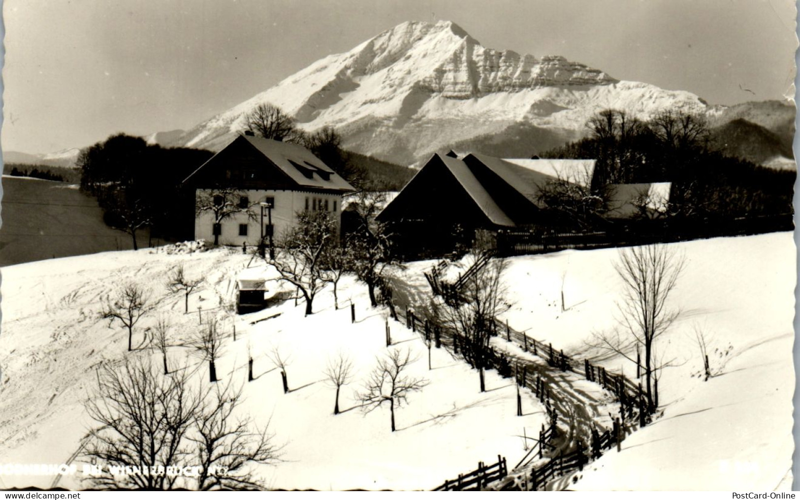 47164 - Niederösterreich - Wienerbruck , Bodnerhof Bei Wienerbruck - Gelaufen 1964 - Lilienfeld