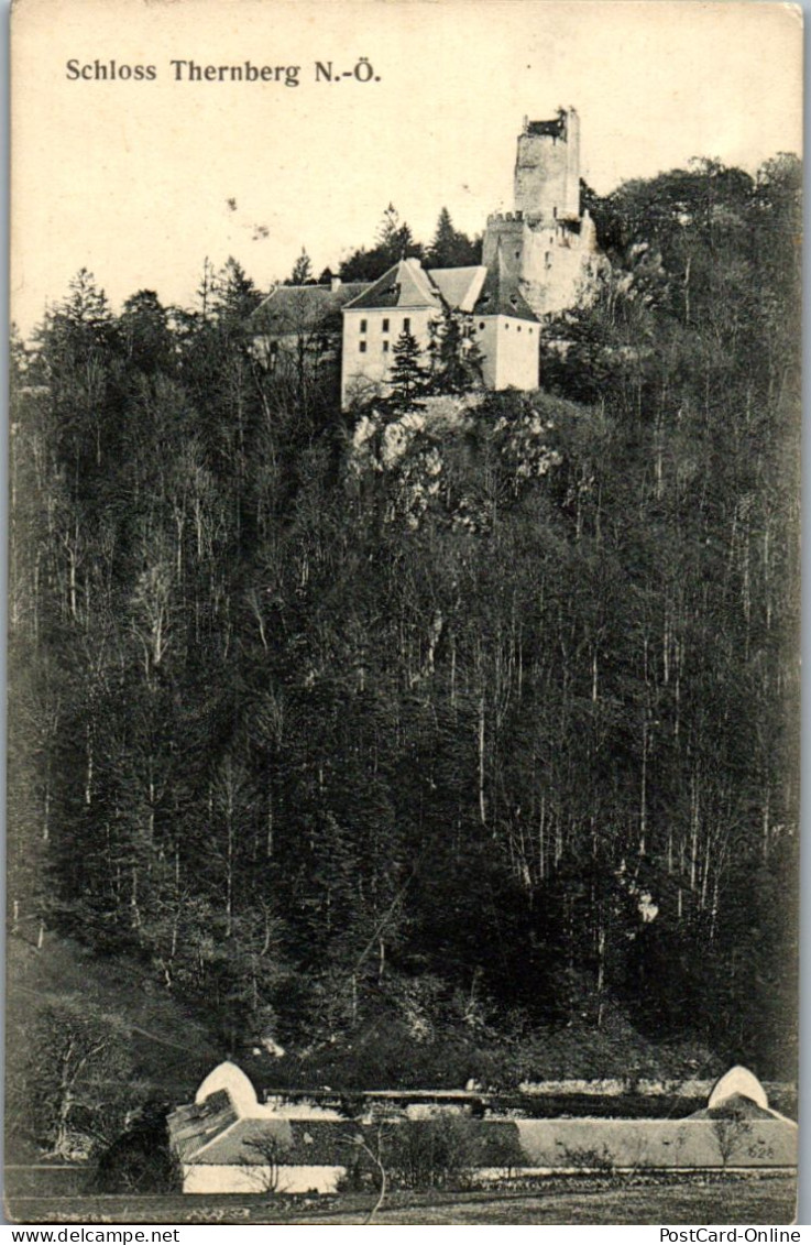 47114 - Niederösterreich - Thernberg , Schloß Thernberg - Gelaufen  - Neunkirchen