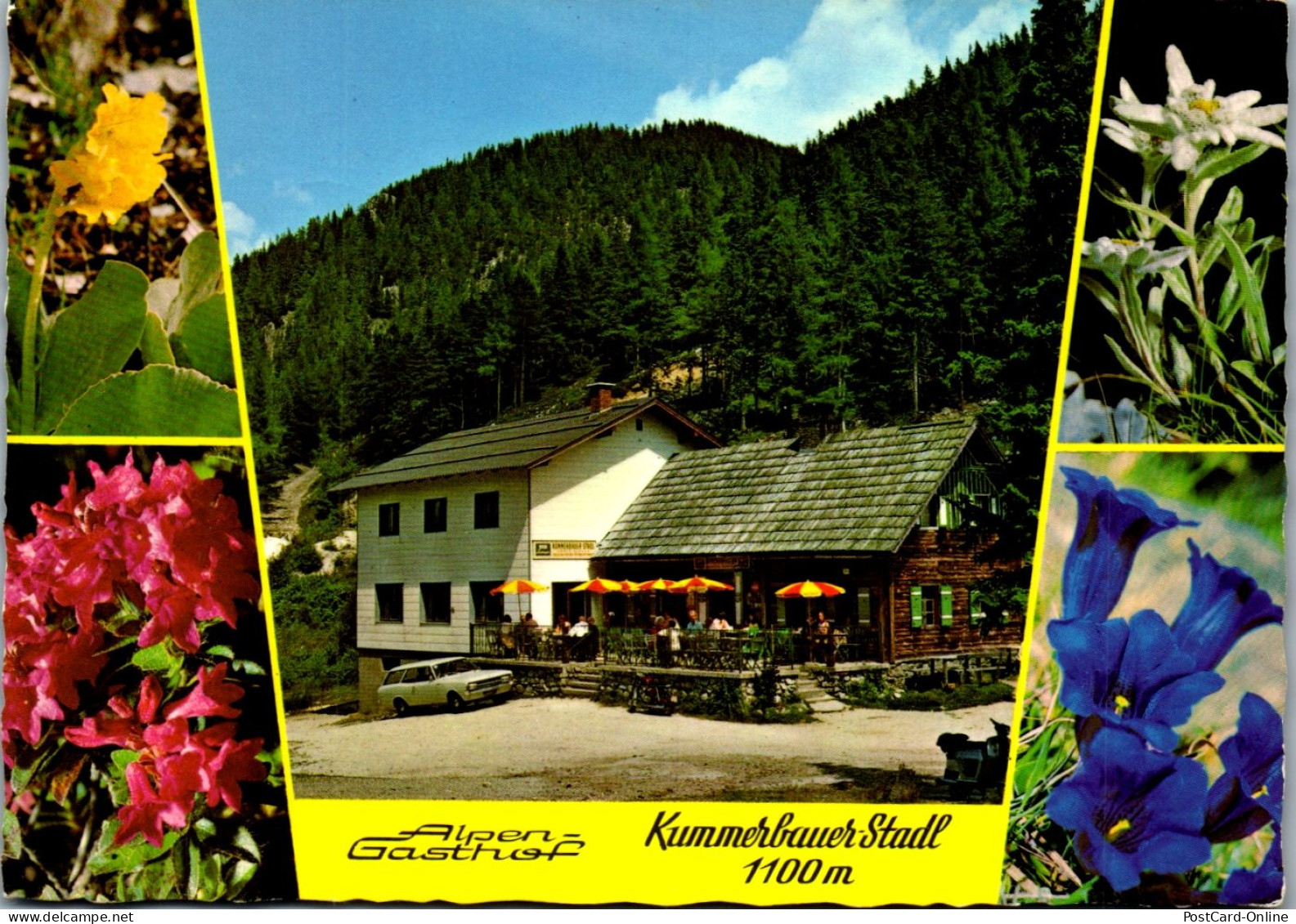 47120 - Niederösterreich - Trattenbach , Alpengasthof , Gasthof , Kummerbauer Stadl - Gelaufen 1982 - Neunkirchen