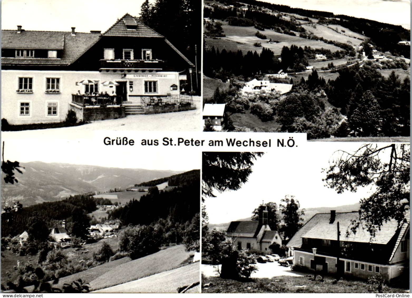 47108 - Niederösterreich - St. Peter Am Wechsel , Gasthof Zum Peterwirt , Mehrbildkarte - Gelaufen  - Wechsel