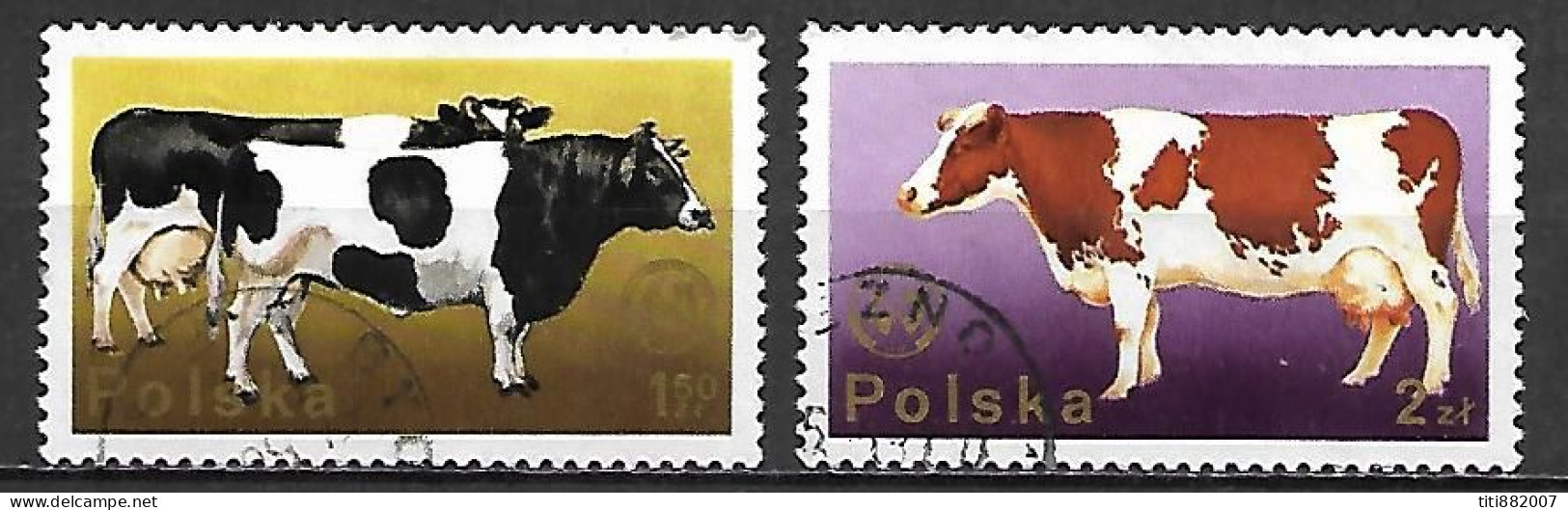 POLOGNE      -      FERME    /    VACHES      -    Oblitérés - Vaches