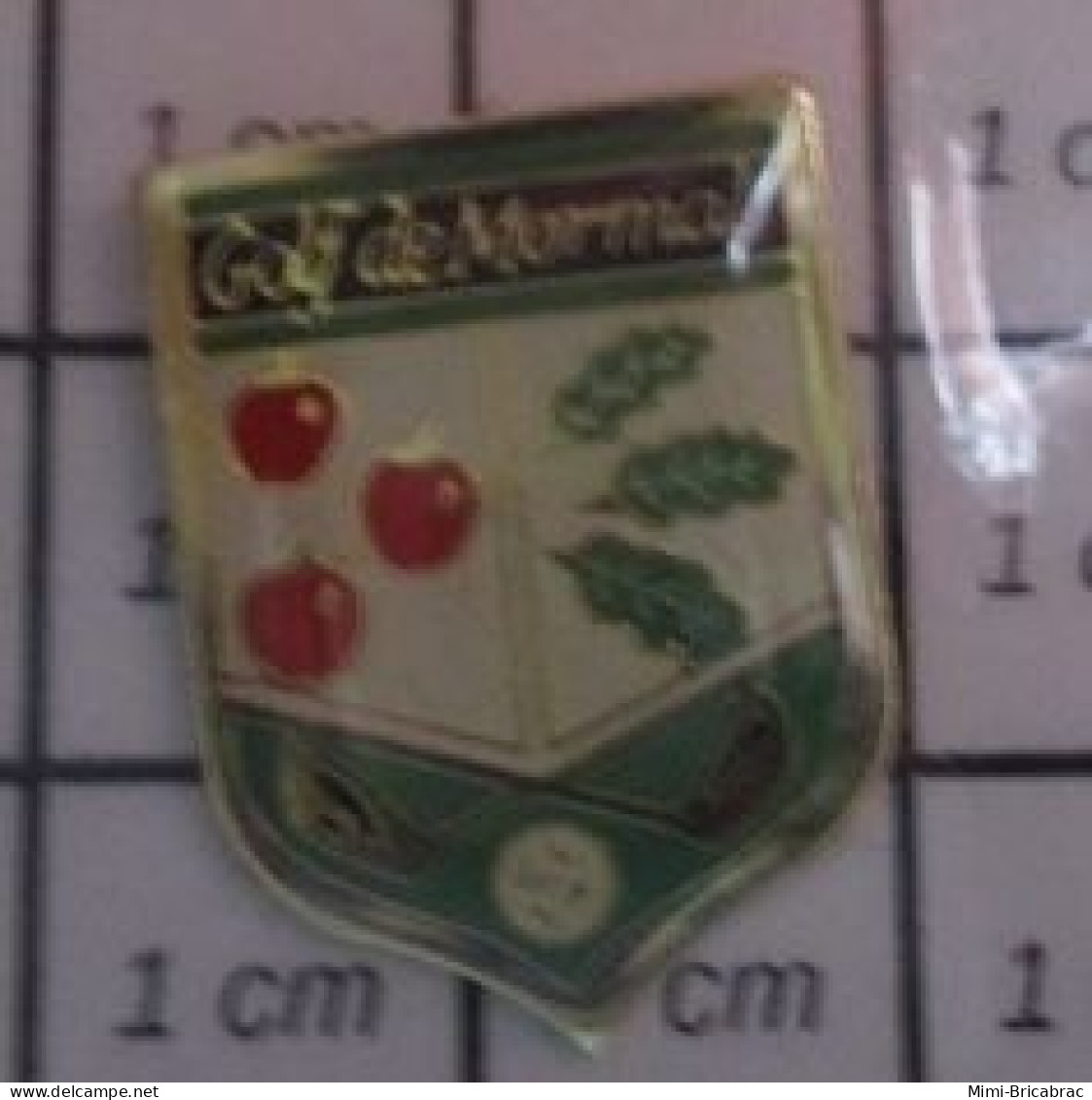 1012B Pin's Pins / Beau Et Rare / THEME : SPORTS / GOLF DE MORMAL POMMES ROUGE FEUILLES DE CHENE - Golf