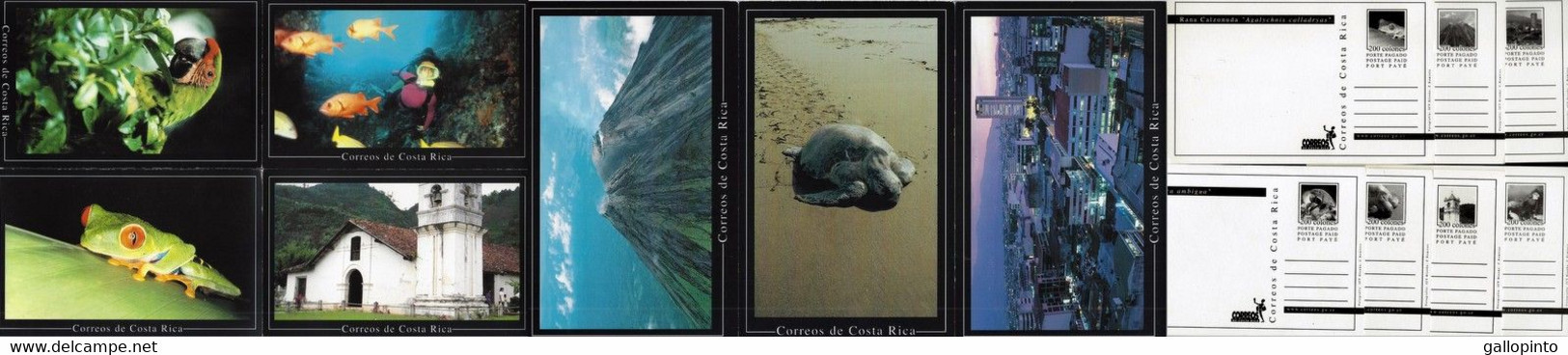 Costa Rica 7 Postcards, Frog, Bird, Turtle, Fish, Volcano, Church, San Jose At Night - Costa Rica