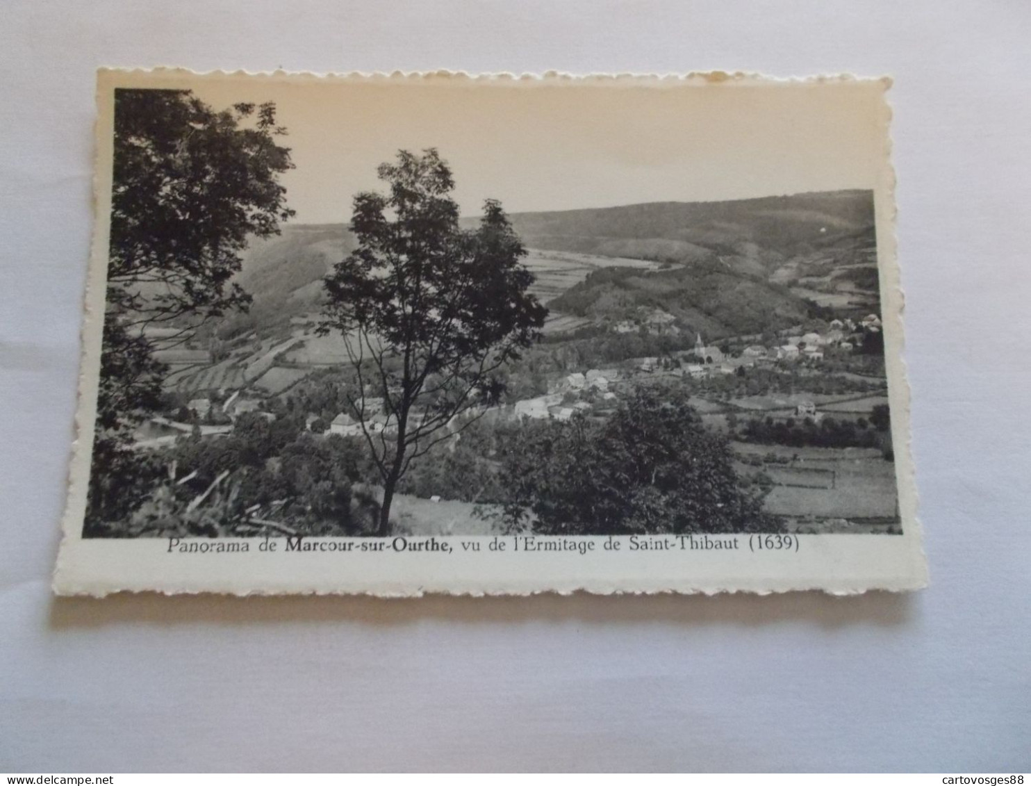 PANORAMA DE MARCOUR SUR OURTHE ( BELGIQUE )  VU DE L ERMITAGE DE SAINT THIBAUT - Rendeux